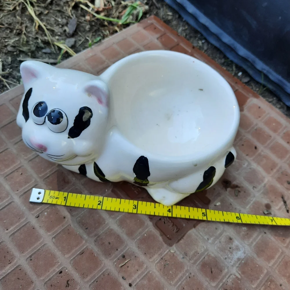 Water/Food dish